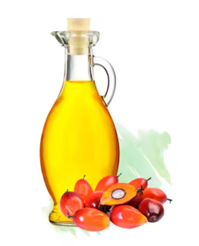 Malaysian Palm Oil CP10 - ALBADR IMPORT AND EXPORT - Egypt